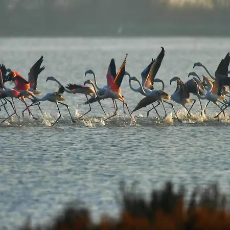 ベッド・アンド・ブレックファスト Tenuta Della Duchessa 3*