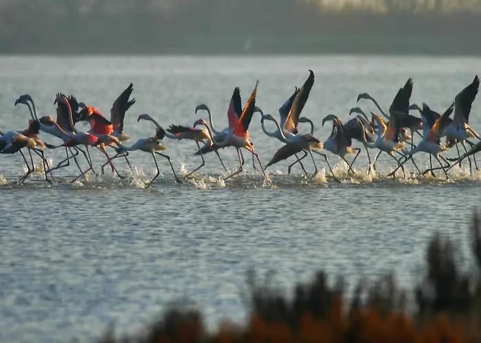 Couette-café Tenuta Della Duchessa 3*